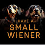 I Have a Small Wiener - Tee Shirt