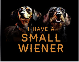 I Have a Small Wiener - Tee Shirt