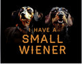 Small Wiener Shirt - Huck & Winslow